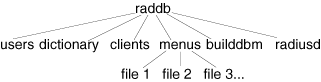 RADIUS File Structure